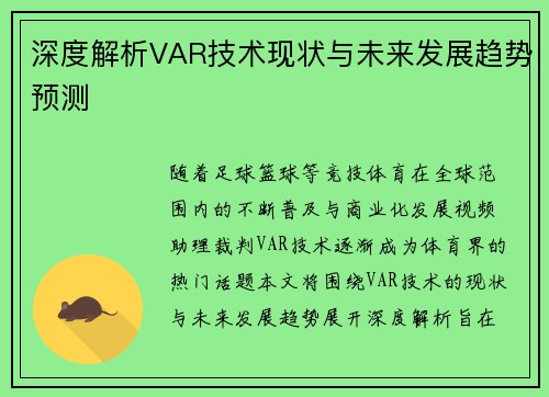 深度解析VAR技术现状与未来发展趋势预测